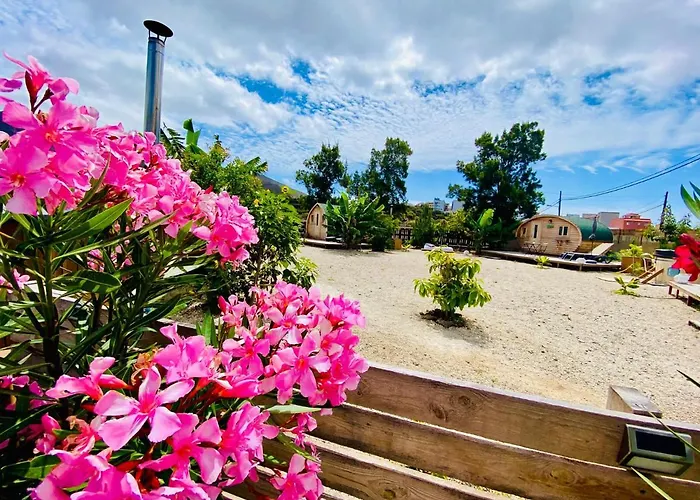 Apartman Laurisilva Sauna Y Piscina *