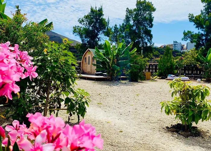 Laurisilva Sauna Y Piscina Buzanada