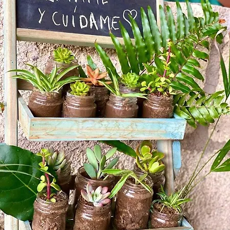 Laurisilva Sauna Y Piscina Apartmán *