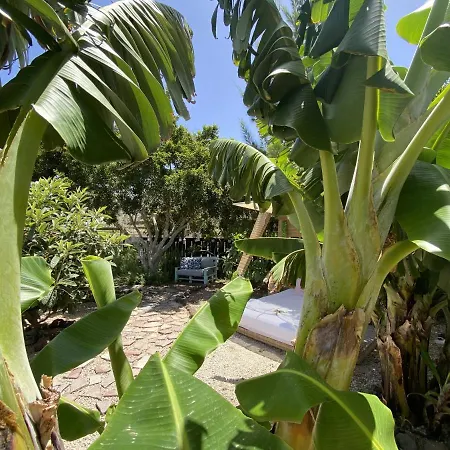 Laurisilva Sauna Y Piscina Apartmán Buzanada