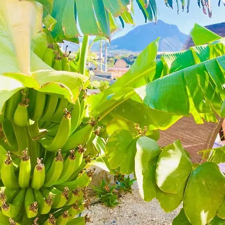 Laurisilva Sauna Y Piscina *