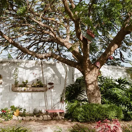 Laurisilva Sauna Y Piscina * Buzanada