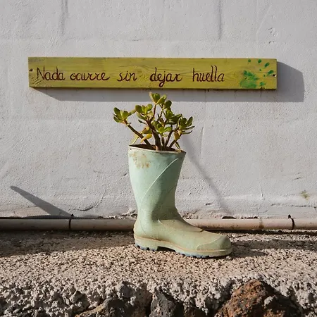 Laurisilva Sauna Y Piscina Buzanada