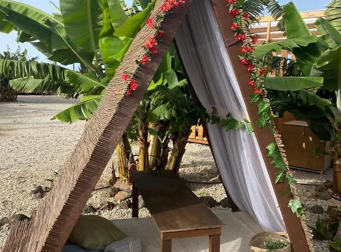 Apartamento Laurisilva Sauna Y Piscina *