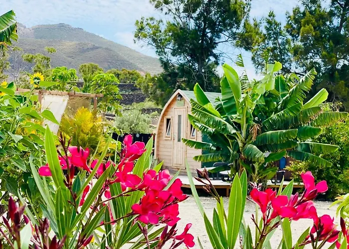 Apartamento Laurisilva Sauna Y Piscina