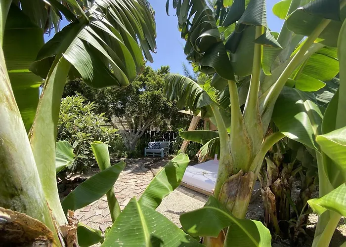 Laurisilva Sauna Y Piscina Apartmán Buzanada