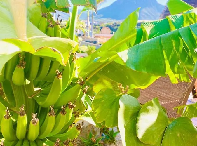 Laurisilva Sauna Y Piscina *