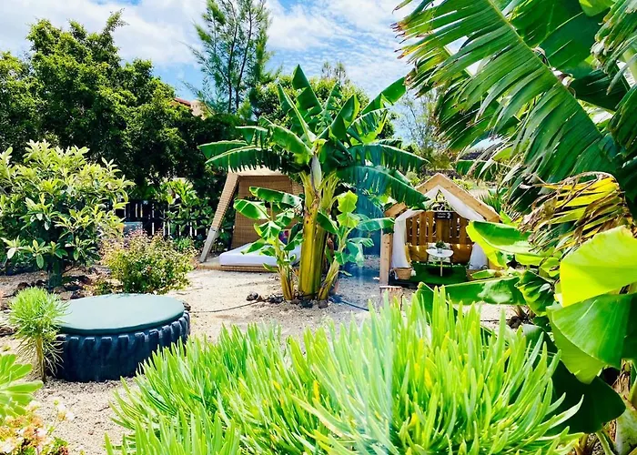 Laurisilva Sauna Y Piscina