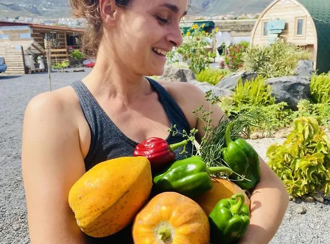 Apartamento Laurisilva Sauna Y Piscina