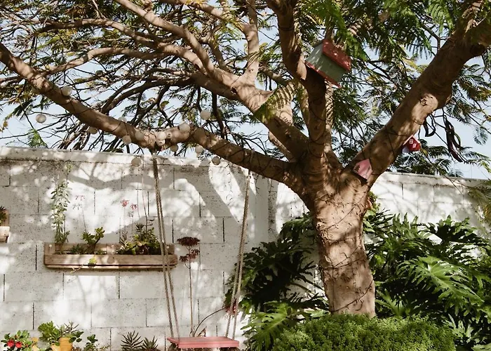 Laurisilva Sauna Y Piscina * Buzanada